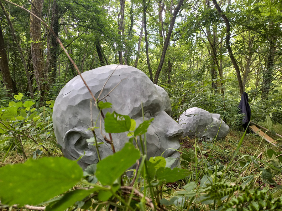 Forêt de la Vaysse
